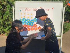 img (5)
